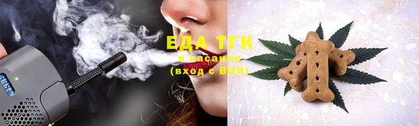 индика Алзамай