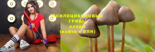 индика Алзамай
